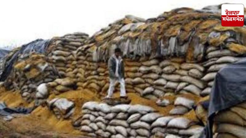 Food grains are being wasted on a large scale every year in Punjab.