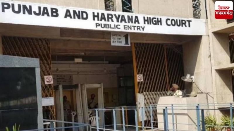 punjab haryana high court Application for bail News In punjabi punjab haryana high court Application for bail News In punjabi