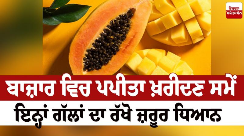 Papaya Health News in punjabi 