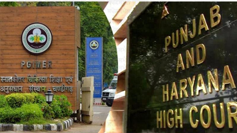 Chandigarh Police should immediately arrest those who influence the work of PGI: High Court Chandigarh Police should immediately arrest those who influence the work of PGI: High Court