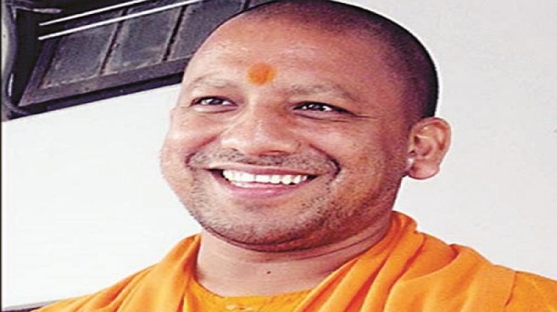 Yogi Yogi