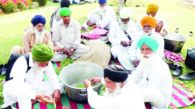 Farmers Farmers
