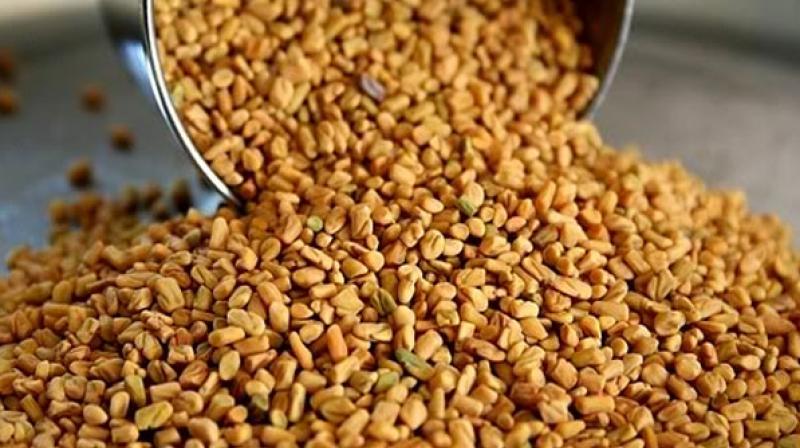 Sugar will be away with fenugreek Sugar will be away with fenugreek