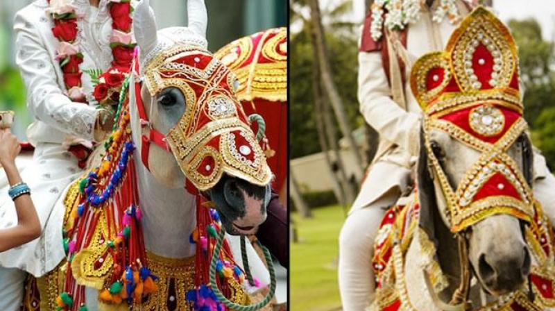 Bridegroom Bridegroom