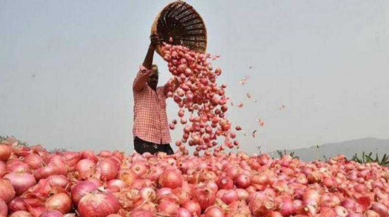 ONION Price