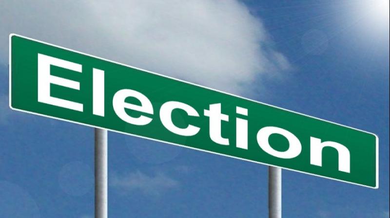 Election Election
