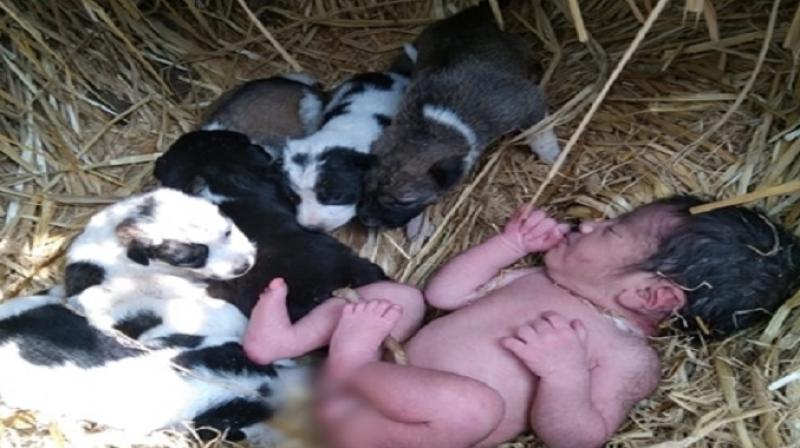 New born baby New born baby