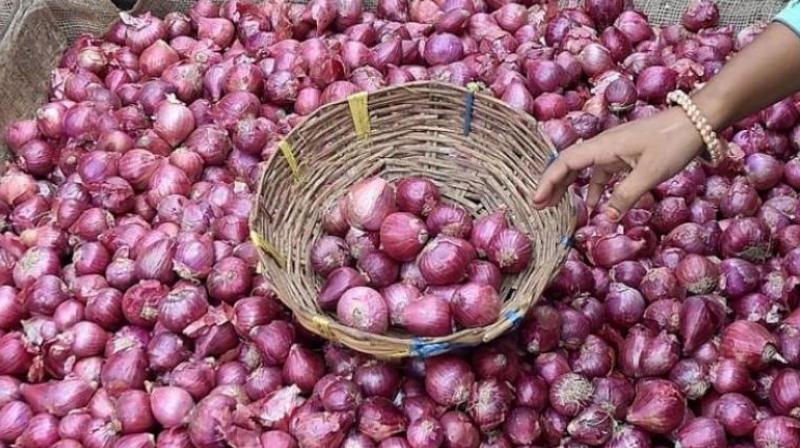 ONION ONION