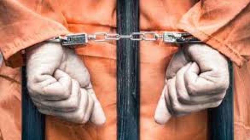 American Jail American Jail