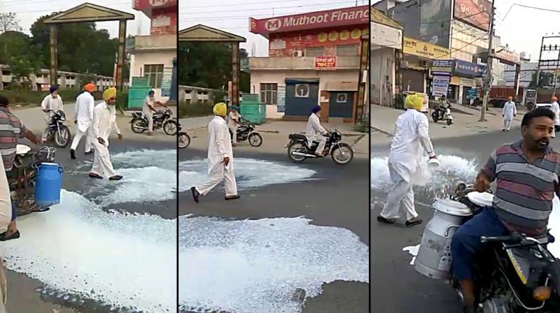Farmers declare no supply of milk and vegetables to the cities Farmers declare no supply of milk and vegetables to the cities