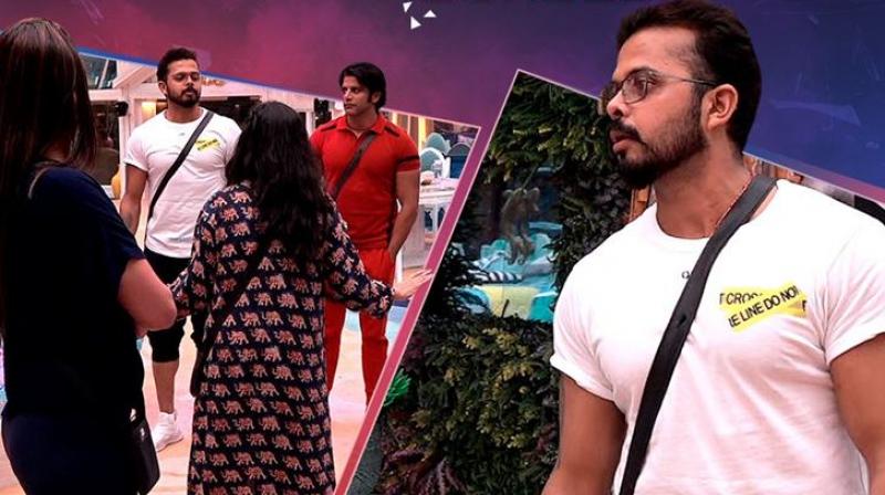 Too early for Sreesanth to be a rebel Too early for Sreesanth to be a rebel