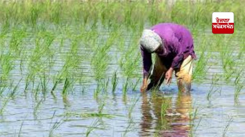 Indian farmers need $75 billion investment to tackle climate change impacts: IFAD President Indian farmers need $75 billion investment to tackle climate change impacts: IFAD President
