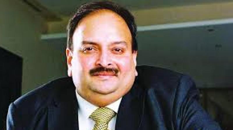 Mehul Choksi Mehul Choksi