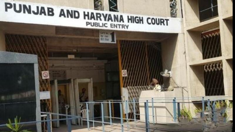 Punjab and haryana high Court Punjab and haryana high Court