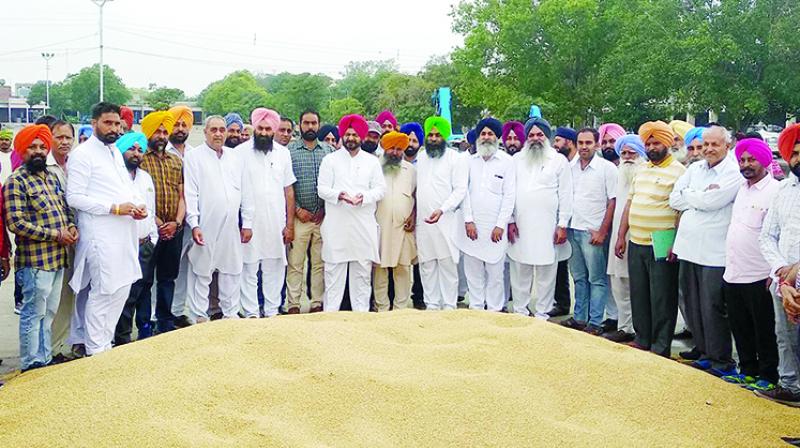 mandi mandi