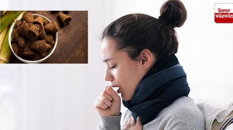 Eat black jaggery in dry cough Health News in punjabi Eat black jaggery in dry cough Health News in punjabi