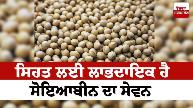 Consuming soybeans is beneficial for health News in punjabi 