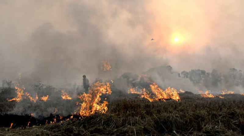 One crore rupees fine recovered from stubble burning farmers in Punjab