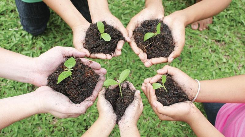 Attracting youth towards agriculture sector is the prime need of the hour Attracting youth towards agriculture sector is the prime need of the hour