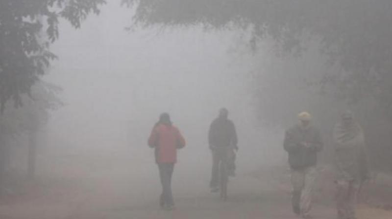FOG FOG