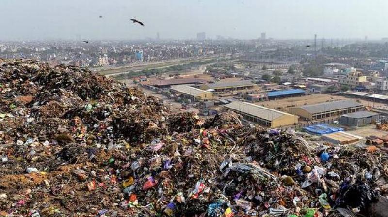 Ngt gurgaon municipal corporation remove garbage bandhwadi