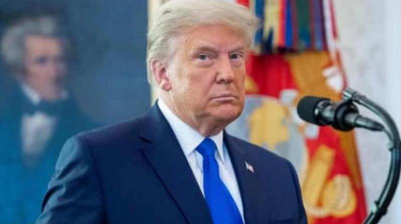 Donald trump Donald trump