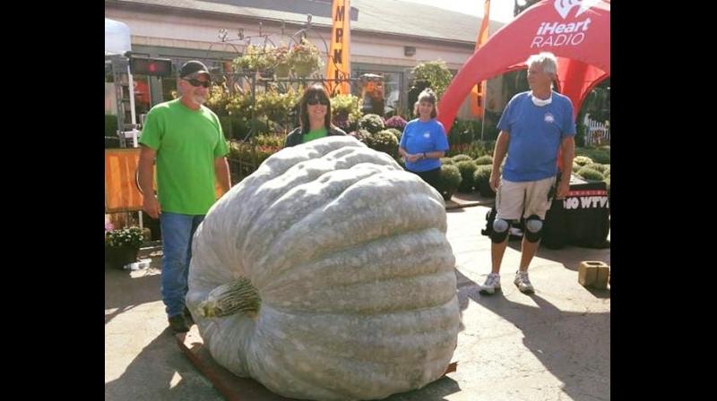  World's largest pumpkin