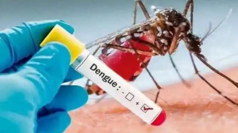 Dengue Fever