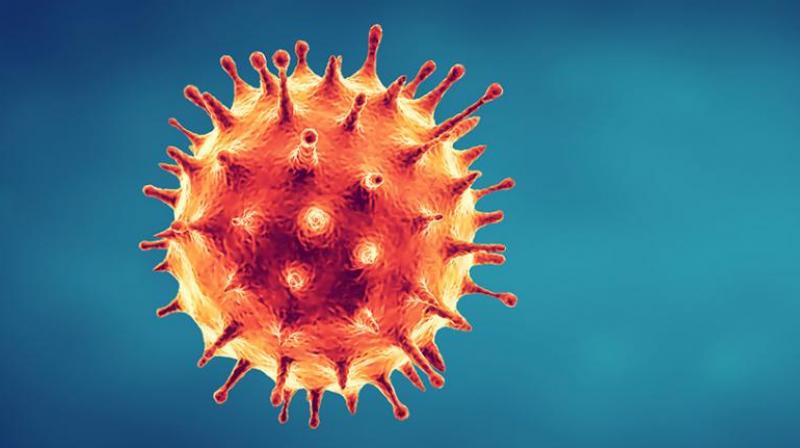 Coronavirus antibodies