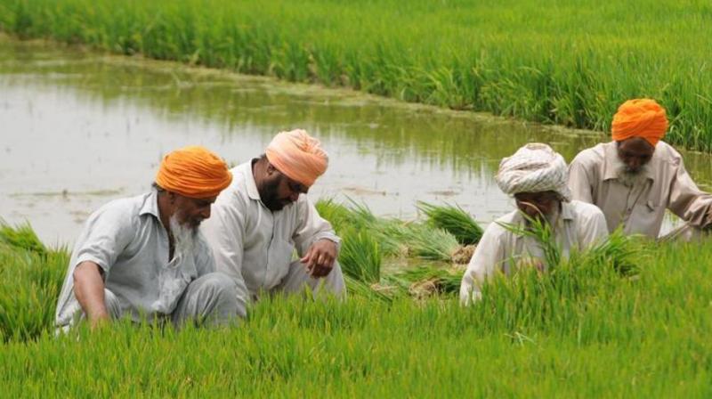 Farmers Farmers