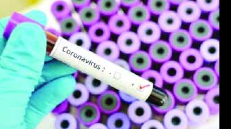 coronavirus 