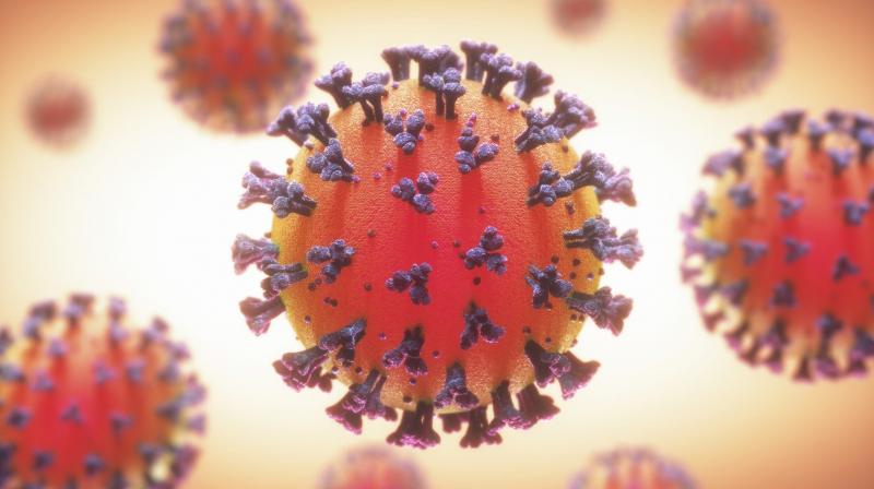Genome network confirms two cases of Omicron sub-variant BA.4 Genome network confirms two cases of Omicron sub-variant BA.4