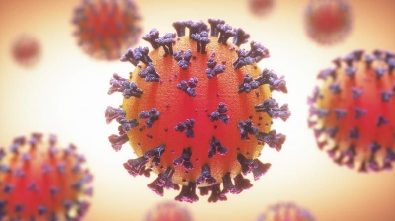 Genome network confirms two cases of Omicron sub-variant BA.4