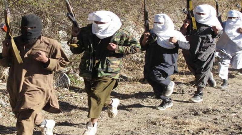 International Terror International Terror