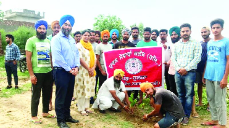 Municipal Corporation Planting Trees