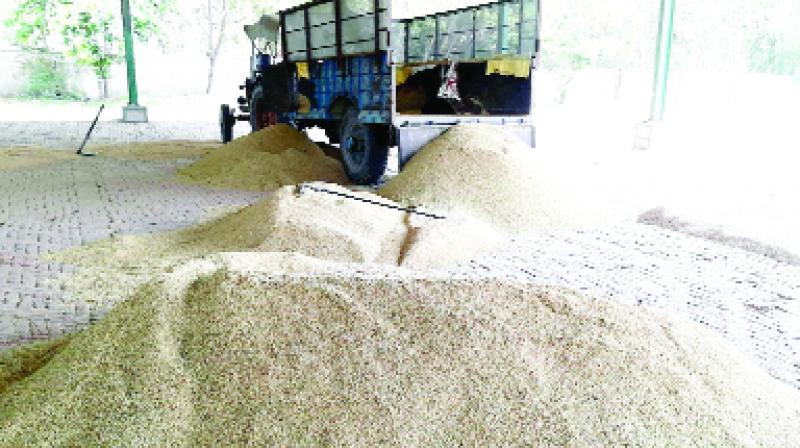 Grain Grain