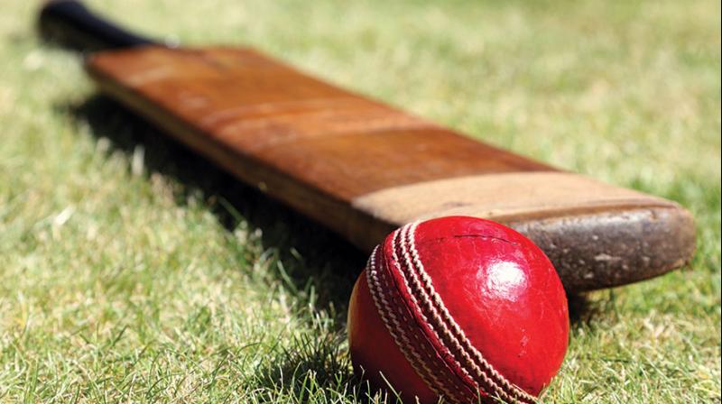Cricket Cricket