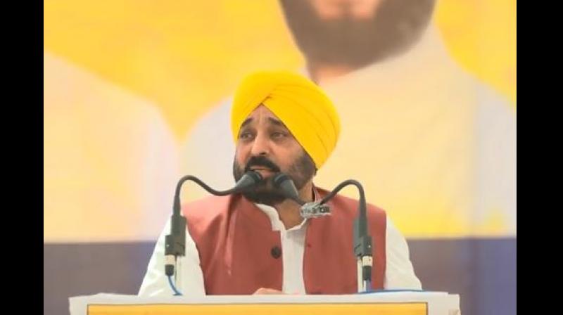 CM Bhagwant Mann CM Bhagwant Mann