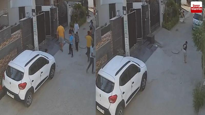 Jalandhar Stray dog News in punjabi Jalandhar Stray dog News in punjabi