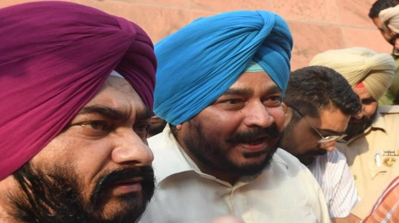 Investigation of tree guard scam in Punjab revealed Punjab News in punjabi Investigation of tree guard scam in Punjab revealed Punjab News in punjabi
