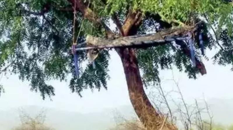 In tribal Gujarat dangling bodies demand justice as part of Chadotaru tradition In tribal Gujarat dangling bodies demand justice as part of Chadotaru tradition