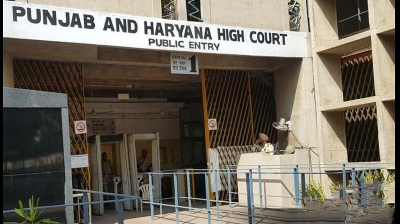 Punjab and Haryana High Court Punjab and Haryana High Court