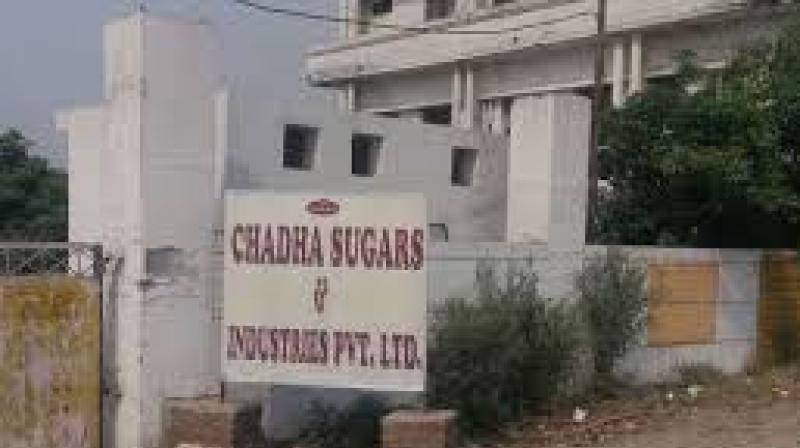 Chadha sugar mill under ED scanner Chadha sugar mill under ED scanner