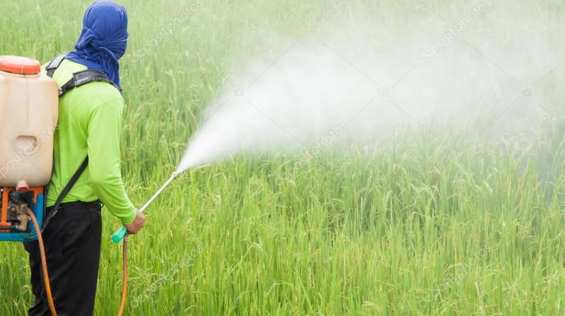 What should farmers wear while spraying?