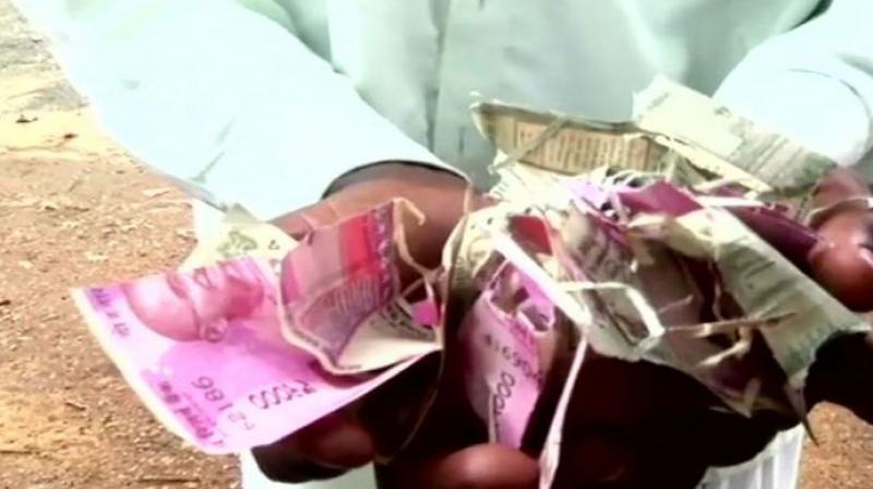 Rat damage 50000 rupees Rat damage 50000 rupees