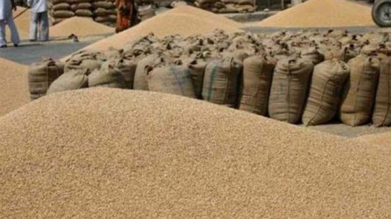 WHEAT AT MANDI WHEAT AT MANDI