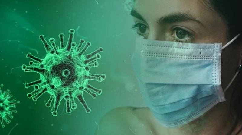 coronavirus coronavirus