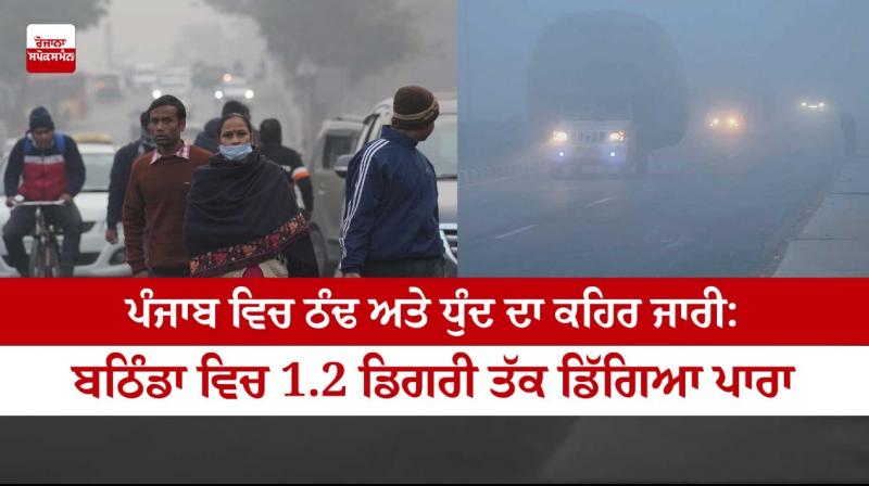 Cold wave continues in Punjab and Haryana Cold wave continues in Punjab and Haryana