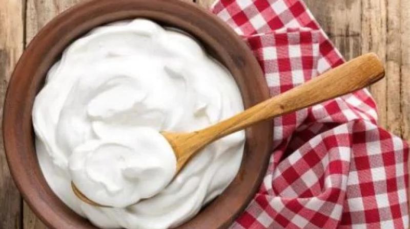 Don't forget to eat these things with yogurt Health News Don't forget to eat these things with yogurt Health News