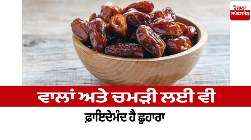 Chuhara is also beneficial for hair and skin Health News Chuhara is also beneficial for hair and skin Health News